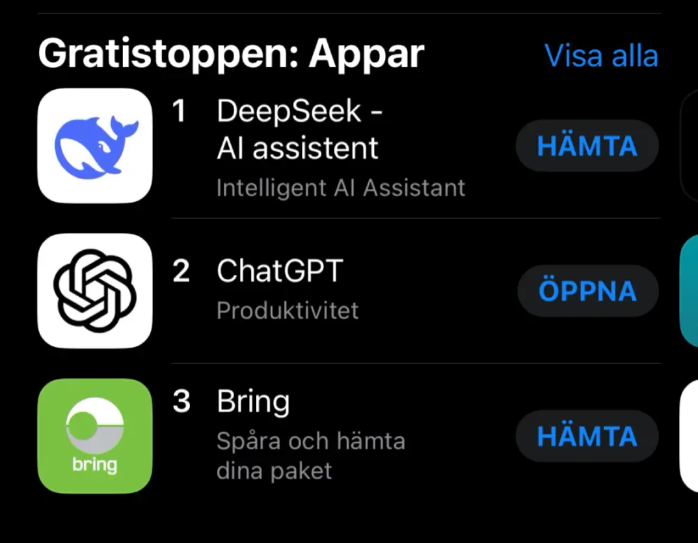 DeepSeek AI Assistant
